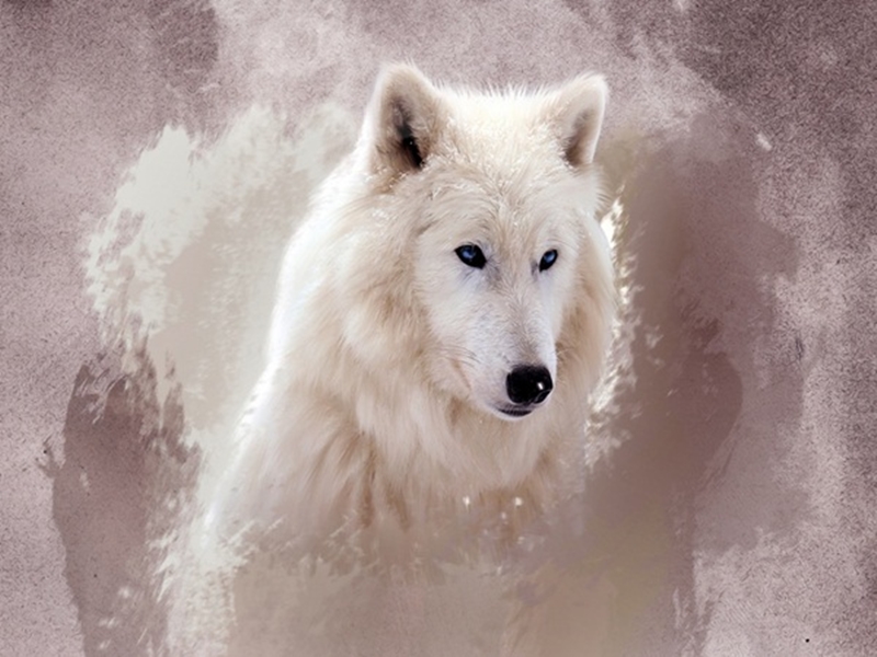 10 خلفيات للكمبيوتر في غاية الروعة